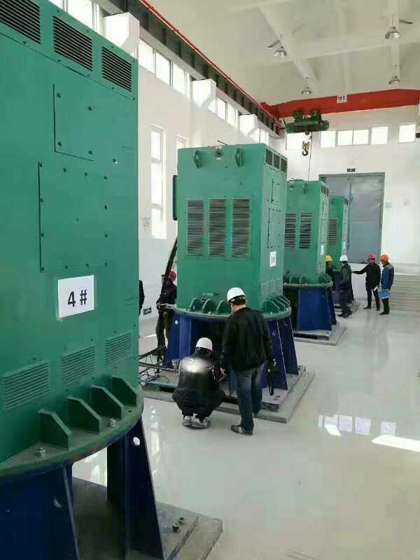 兴海某污水处理厂使用我厂的立式高压电机安装现场